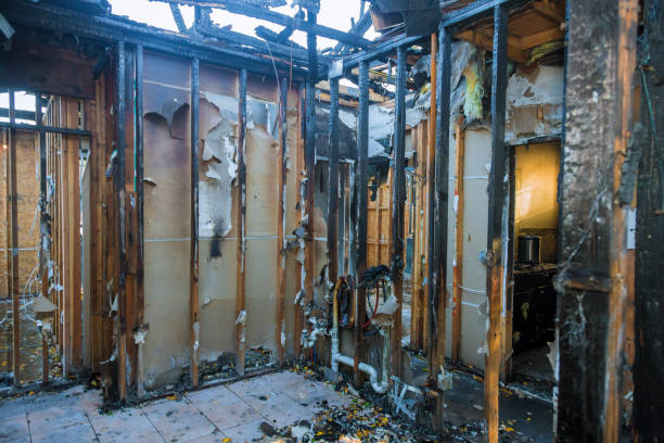 Professional Fire Damage Removal technician working in Gold Canyon, AZ